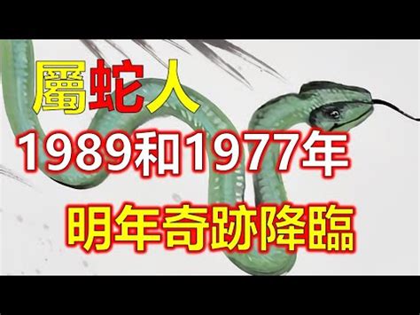 1989屬蛇幸運色|1989属蛇幸运色